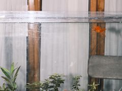 -懒鱼时光馆(沙坪坝店)