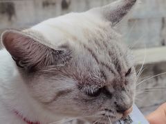 -李叔同故居纪念馆
