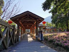 -广州市流溪河国家森林公园