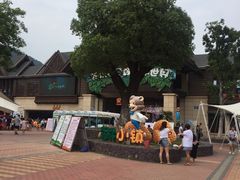 -苏州乐园森林水世界