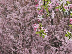 -木塔寺遗址生态公园