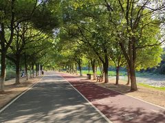 -艾溪湖湿地公园