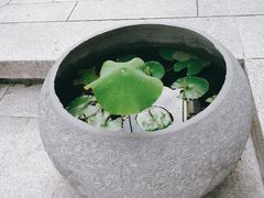 -湘湖金融镇