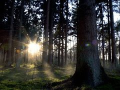 -韶关经律论国际酒店温泉