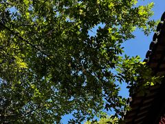 -兴福老面馆(寺路街店)