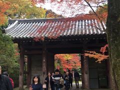 -醍醐寺