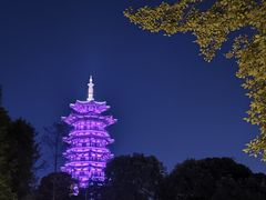 -洋湖国家湿地公园