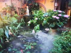 -园林美食城·本土农家菜(杨和镇店)