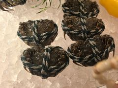 -亚龙湾希尔顿自助餐厅·海鲜·烧烤·沙滩BBQ·现场乐队