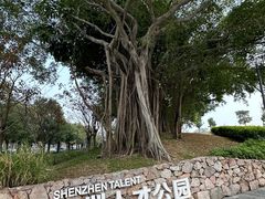-深圳人才公园