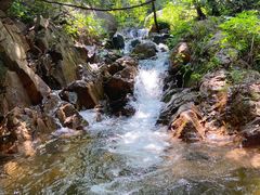 -老张烤羊(王哥庄店)