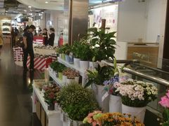 -飞洲国际广场