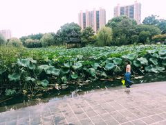 -花溪公园
