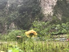 -楠溪江石桅岩