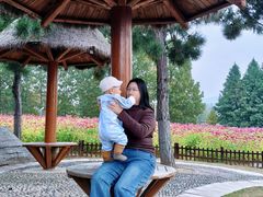 -羊亭河湿地公园