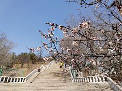 -乌素图国家森林公园