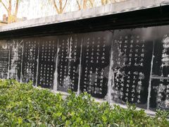 -东方巨龟苑景区