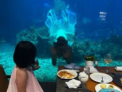 -涛·海底餐厅·美人鱼·自助餐·海底隧道(三亚海棠湾洲际度假酒店)