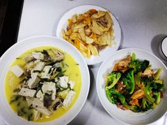 -小蝌蚪·寻·月嫂(普陀总部)