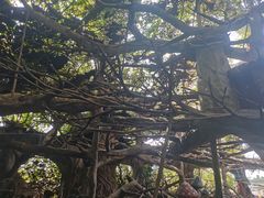 -长鹿旅游休博园
