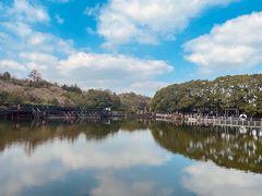-白马涧龙池景区