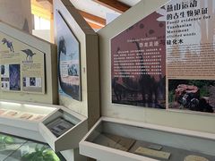 -延庆地质公园博物馆