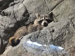 -波塞冬旅游度假区