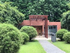 -上海滨江森林公园