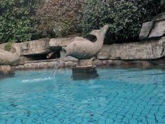 -杭州第一世界大酒店·云曼温泉