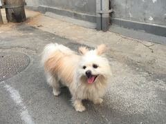 -纳吉亚猫专科动物诊疗中心(蒋宅口分院)