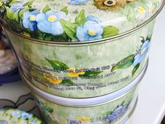 -珍妮曲奇聪明小熊(尖沙咀店)