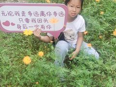 -宁波浙东大竹海景区