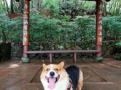 -杭州半山国家森林公园