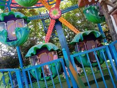 -郑州方特梦幻王国