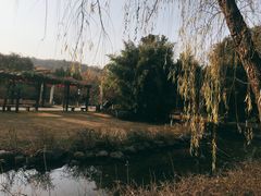 -白马涧龙池景区