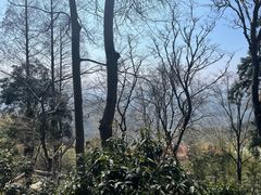 -莫干山风景区