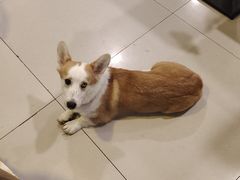 -平行世界·猫咖(首经贸店)
