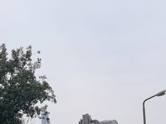 -No.DD戳子烧烤·江湖菜(北京总店)
