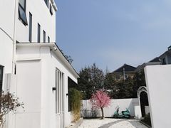 -龙坞茶村