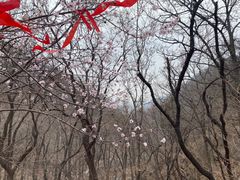 -天津盘山风景名胜区