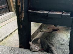 -老屋咖啡