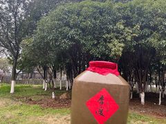 -八大山人梅湖景区