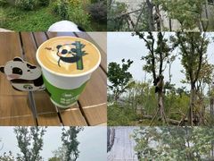 -中国大熊猫保护研究中心雅安碧峰峡基地