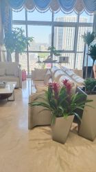 -北京米扬丽格医疗美容·联合丽格鼻整形中心