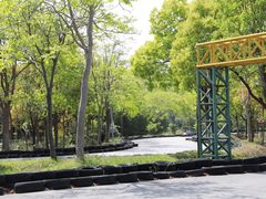 -上海海湾国家森林公园