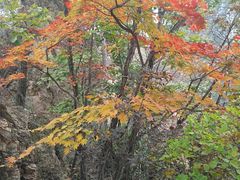-大连天门山国家森林公园