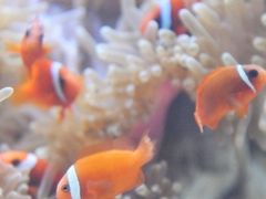 -多彩贵州城极地海洋世界