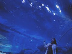 -成都浩海立方海洋公园