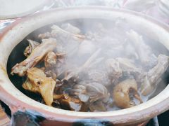-霞姐屯昌枫木香草鸭店(海螺店)