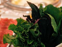 -鱼豆吉·豆浆鱼火锅(宜昌万达店)